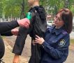 � ���� ��������� ������������� ���������� ���� �� ����� ������ ������������ ����� ���������������� ���������