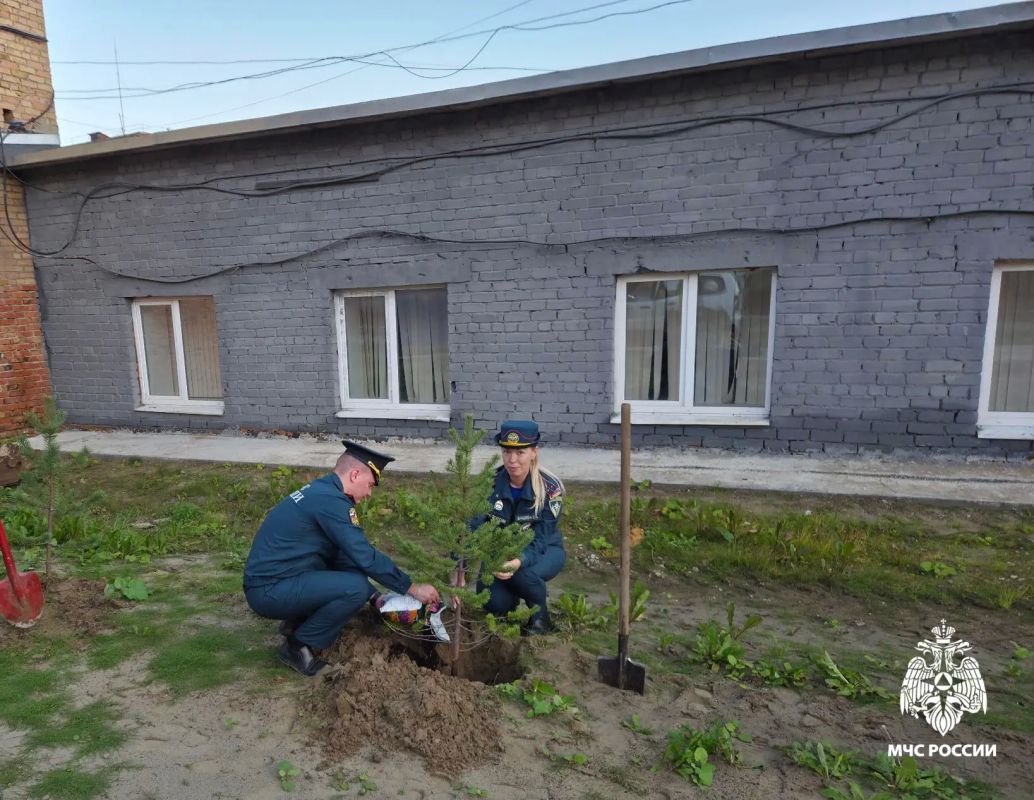 План озеленения!. В преддверии векового юбилея органов государственного пожарного надзора сотрудники отдела надзорной деятельности и профилактической работы города Усинска провели экологическую акцию по высадке деревьев План озеленения!. В преддверии векового юбилея органов государственного пожарного надзора сотрудники отдела надзорной деятельности и профилактической работы города Усинска провели экологическую акцию по высадке деревьев