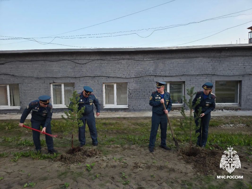 План озеленения!. В преддверии векового юбилея органов государственного пожарного надзора сотрудники отдела надзорной деятельности и профилактической работы города Усинска провели экологическую акцию по высадке деревьев План озеленения!. В преддверии векового юбилея органов государственного пожарного надзора сотрудники отдела надзорной деятельности и профилактической работы города Усинска провели экологическую акцию по высадке деревьев