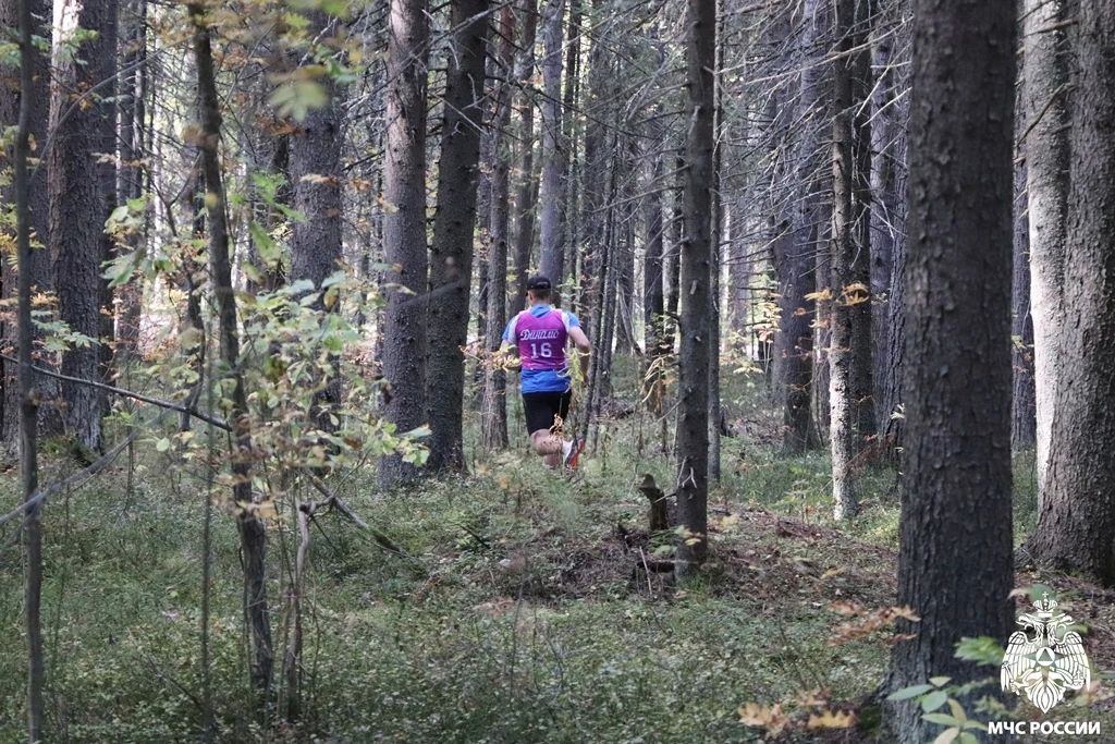 Лучшие во всех возрастах!. В Сыктывкаре прошёл лично-командный Чемпионат "Динамо" среди органов безопасности и правопорядка по спортивному ориентированию, посвящённый памяти Д.А Лучшие во всех возрастах!. В Сыктывкаре прошёл лично-командный Чемпионат "Динамо" среди органов безопасности и правопорядка по спортивному ориентированию, посвящённый памяти Д.А