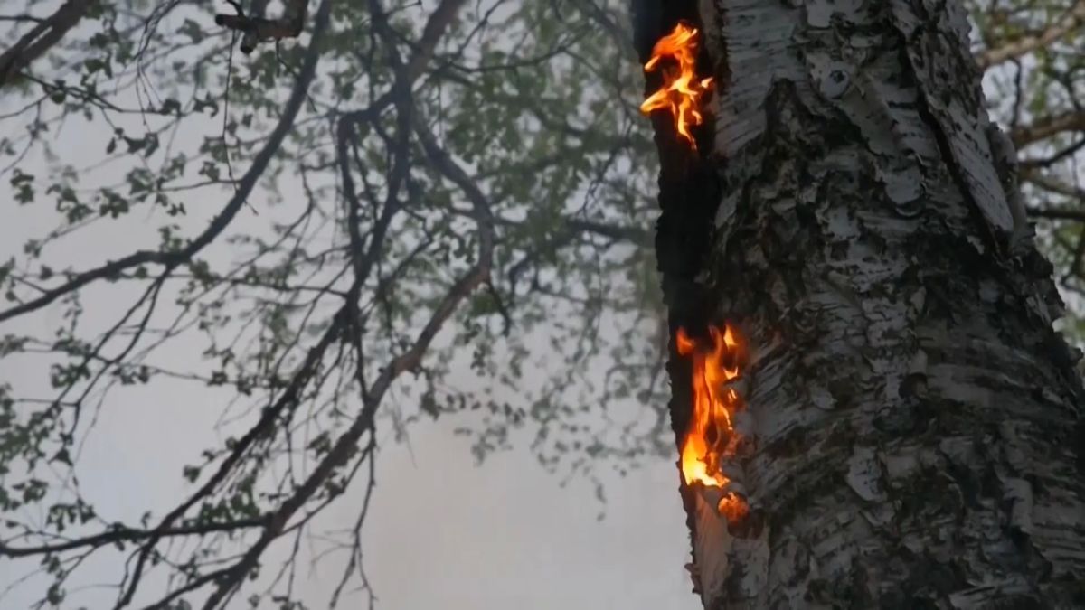В Сыктывкаре отменён особый противопожарный режим, действовавший с апреля