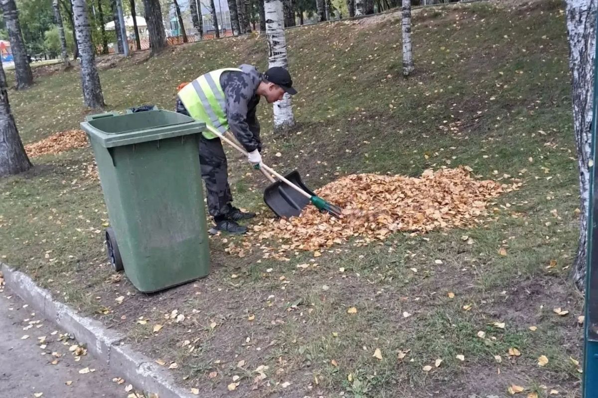 Максим Мартышин: Друзья, осень окончательно вступила в свои права Максим Мартышин: Друзья, осень окончательно вступила в свои права