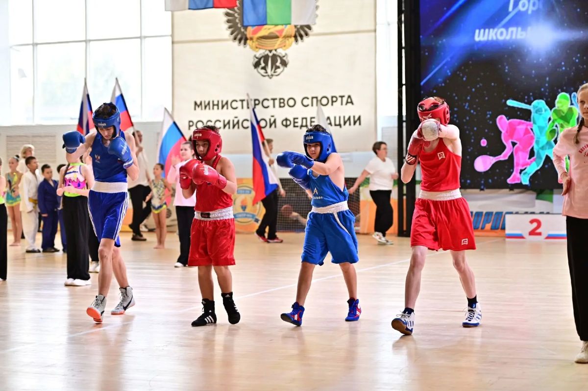 Максим Мартышин: Сегодня в Сыктывкаре прошёл фестиваль школьных спортивных клубов «Лига школьного спорта» Максим Мартышин: Сегодня в Сыктывкаре прошёл фестиваль школьных спортивных клубов «Лига школьного спорта»