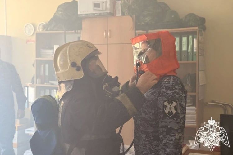 В Сыктывкаре прошли межведомственные учения Росгвардии и МЧС России по пожарной безопасности В Сыктывкаре прошли межведомственные учения Росгвардии и МЧС России по пожарной безопасности