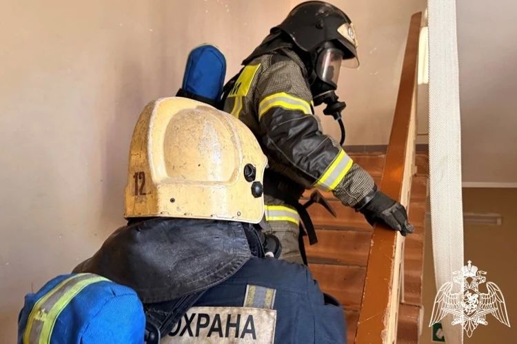 В Сыктывкаре прошли межведомственные учения Росгвардии и МЧС России по пожарной безопасности В Сыктывкаре прошли межведомственные учения Росгвардии и МЧС России по пожарной безопасности