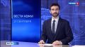Лоси устроили парный заплыв на Печоре