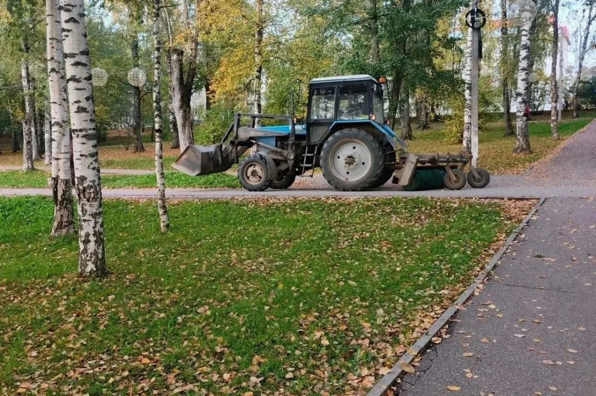 Максим Мартышин: Осень - красивая, но хлопотная пора Максим Мартышин: Осень - красивая, но хлопотная пора