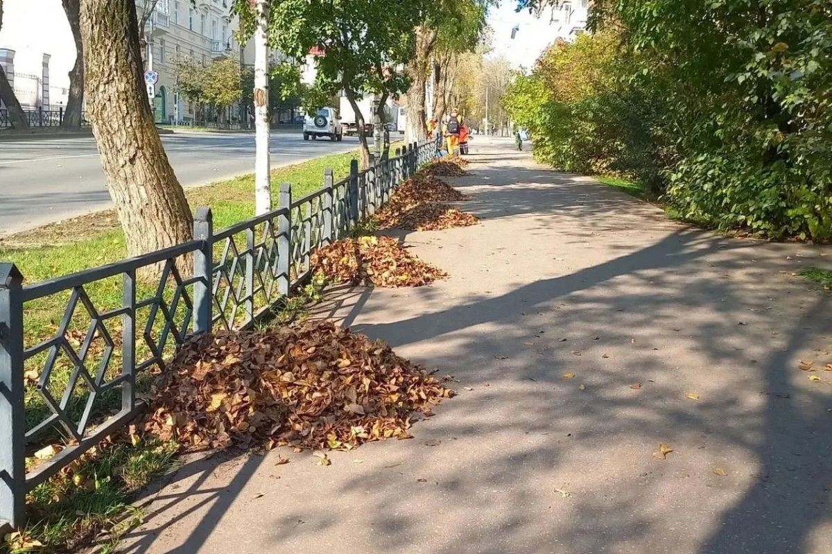 Максим Мартышин: Осень - красивая, но хлопотная пора Максим Мартышин: Осень - красивая, но хлопотная пора