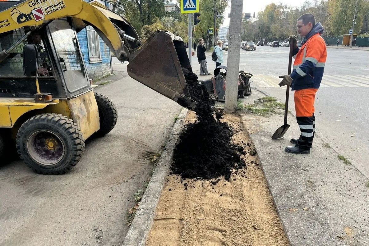 Максим Мартышин: Осень - красивая, но хлопотная пора Максим Мартышин: Осень - красивая, но хлопотная пора