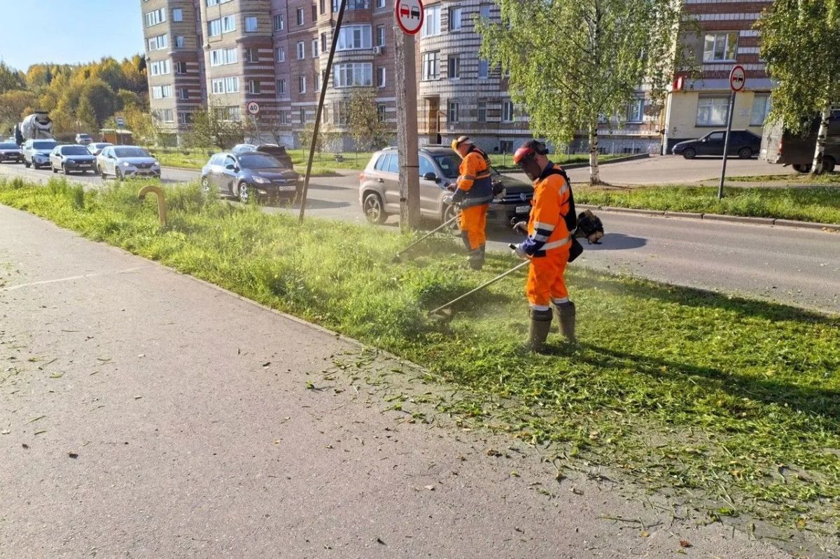 Максим Мартышин: Осень - красивая, но хлопотная пора Максим Мартышин: Осень - красивая, но хлопотная пора