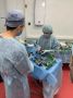 Хирурги Коми освоили новую технологию замены суставов