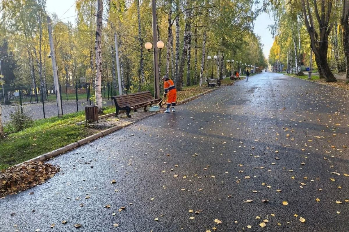 Максим Мартышин: Осень - красивая, но хлопотная пора Максим Мартышин: Осень - красивая, но хлопотная пора