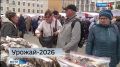 26 сентября в Сыктывкаре пройдёт традиционная ярмарка «Урожай – 2026»