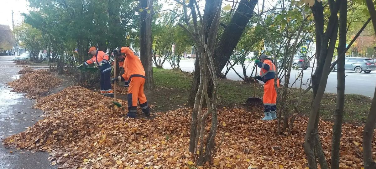 Максим Мартышин: Осень - время не только золотой листвы, но и напряжённой работы коммунальных служб Максим Мартышин: Осень - время не только золотой листвы, но и напряжённой работы коммунальных служб