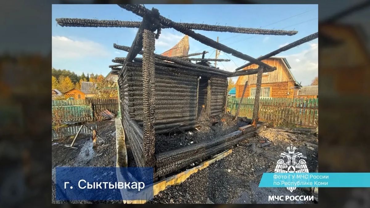 За дежурные сутки огнеборцы Коми ликвидировали 2 возгорания