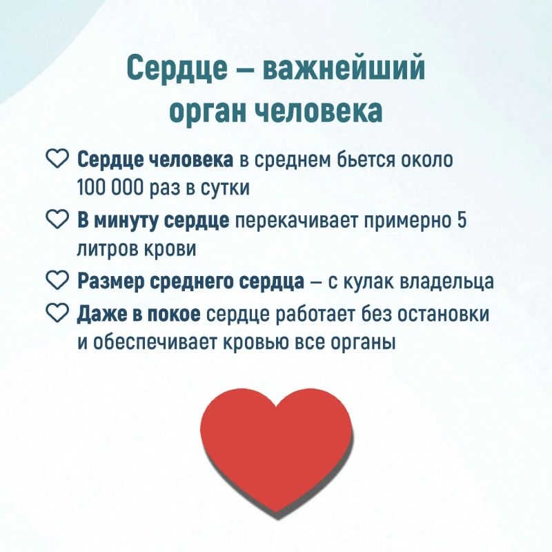 Неделя ответственного отношения к сердцу Неделя ответственного отношения к сердцу
