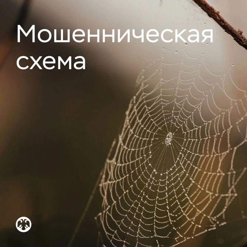 Не перезванивайте: жителей Коми предупреждают о новой схеме мошенников