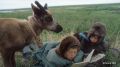 #архив_ТАСС_Северо_Запад. Дети оленеводов из колхоза "Харп" на каникулах
