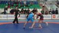 В Сыктывкаре прошли Всероссийские соревнования по спортивной борьбе
