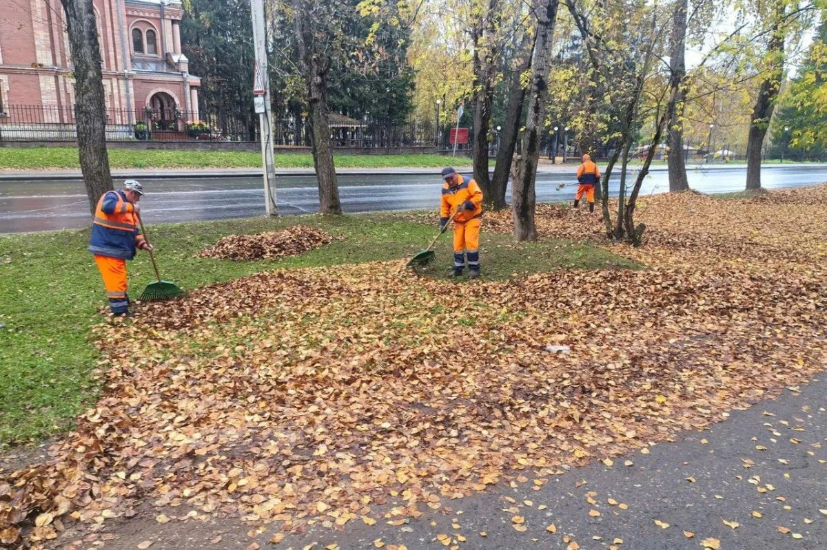 Максим Мартышин: На календаре последний день сентября, осень в самом разгаре Максим Мартышин: На календаре последний день сентября, осень в самом разгаре