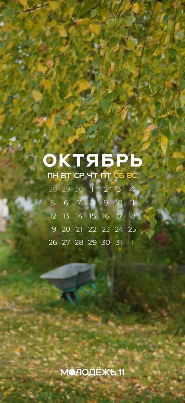 За окном золотая осень, а на экране – новые обои За окном золотая осень, а на экране – новые обои