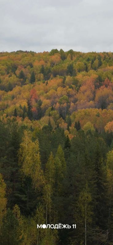 За окном золотая осень, а на экране – новые обои За окном золотая осень, а на экране – новые обои