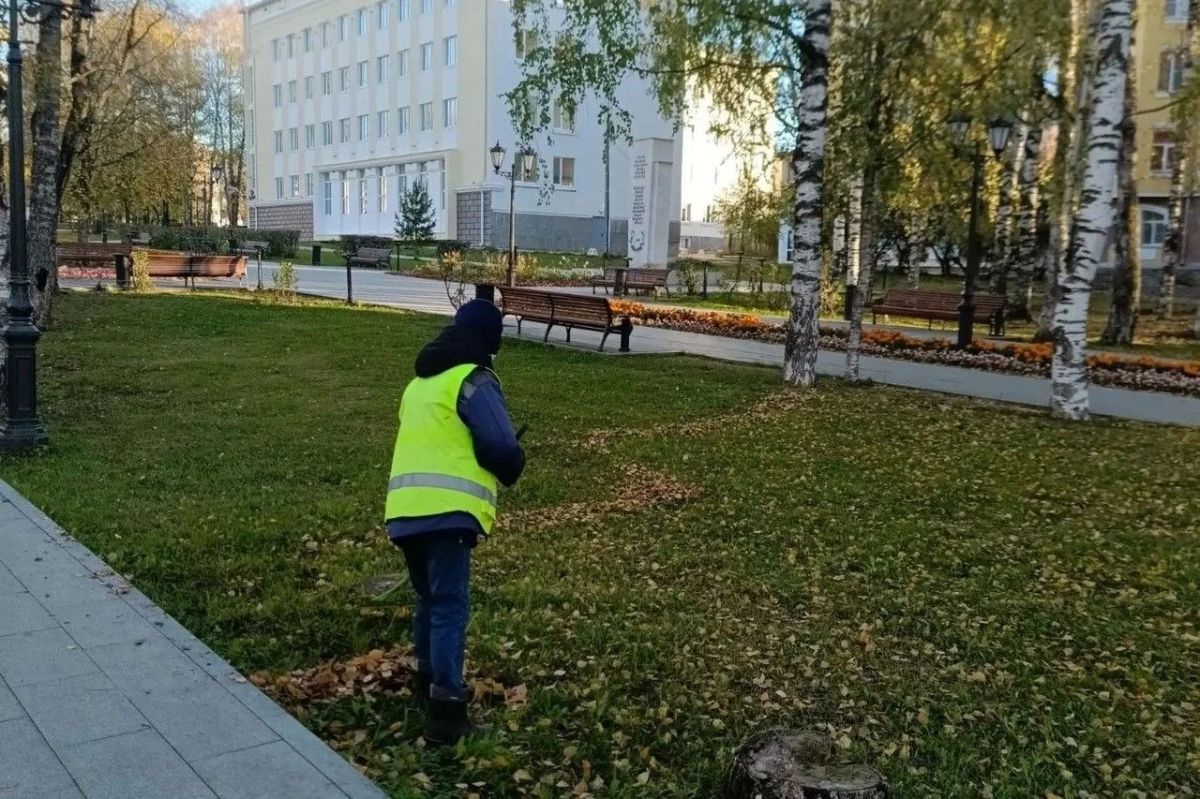 Максим Мартышин: Осень переходит экватор, а температура на улицах стремительно близится к нулю Максим Мартышин: Осень переходит экватор, а температура на улицах стремительно близится к нулю