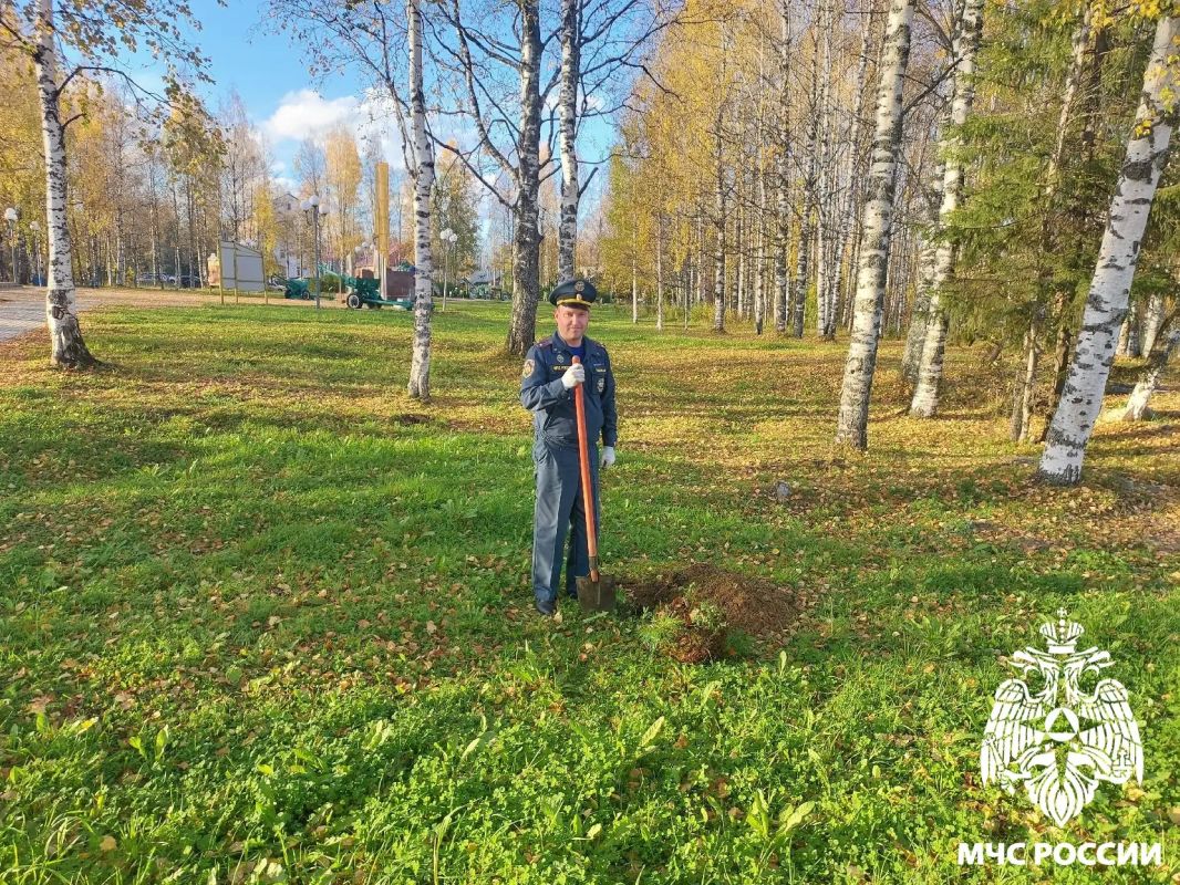 Вклад в будущее. В честь 100-летия органов государственного пожарного надзора сотрудники надзорной деятельности города Сосногорска и 28-й пожарно-спасательной части высадили на Аллее Славы у парка Победы саженцы кедра Вклад в будущее. В честь 100-летия органов государственного пожарного надзора сотрудники надзорной деятельности города Сосногорска и 28-й пожарно-спасательной части высадили на Аллее Славы у парка Победы саженцы кедра