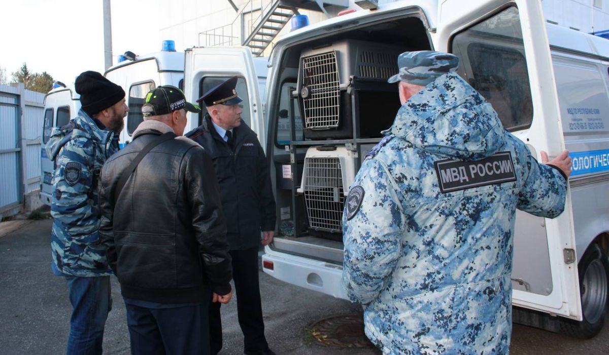 В Центре кинологической службы МВД по Республике Коми состоялась встреча с ветераном ведомства В Центре кинологической службы МВД по Республике Коми состоялась встреча с ветераном ведомства