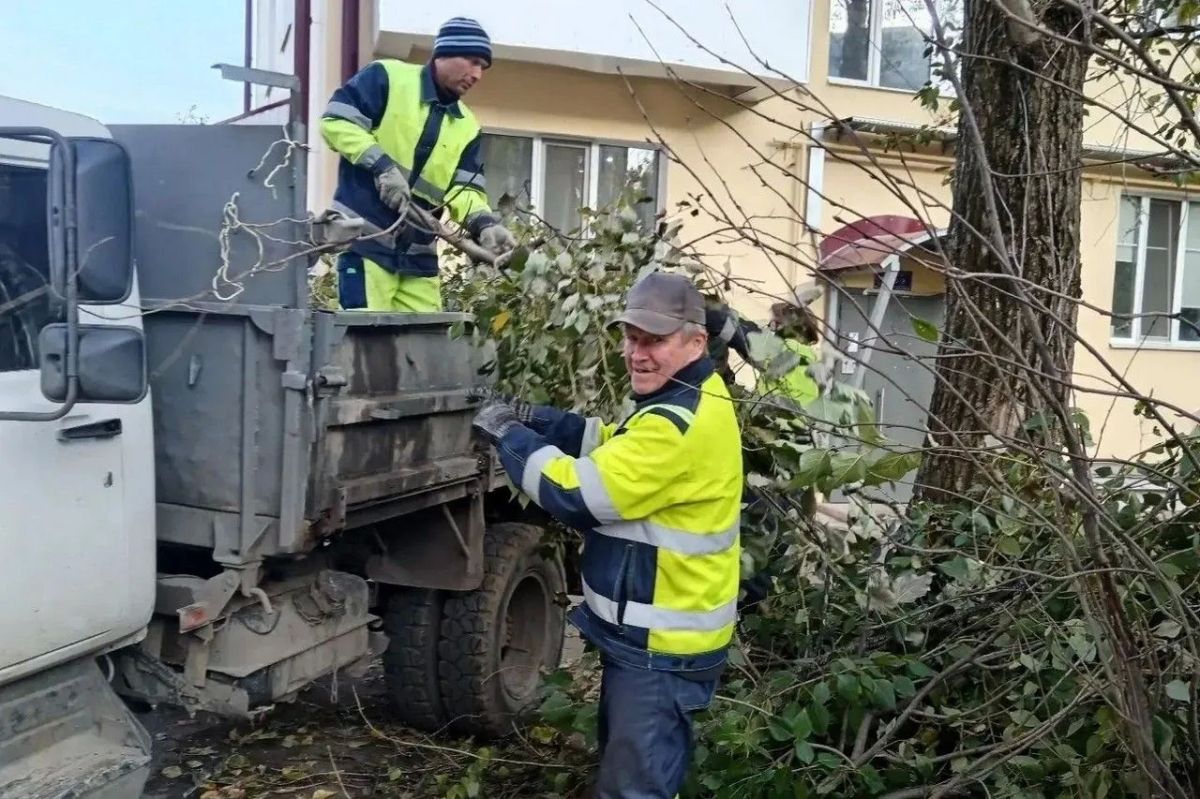 Максим Мартышин: Ещё один день в копилке коммунальных служб Максим Мартышин: Ещё один день в копилке коммунальных служб