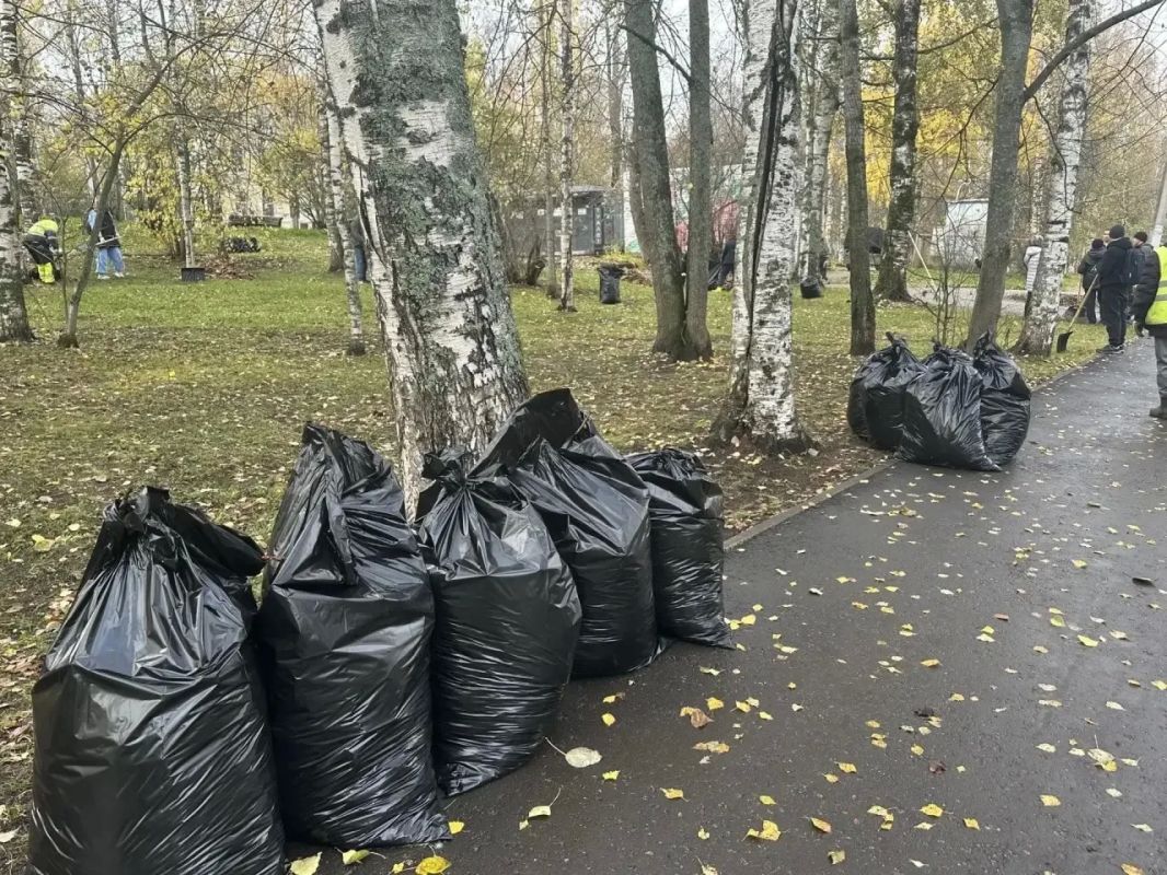 Максим Мартышин: Сегодня в Кировском парке прошёл субботник Максим Мартышин: Сегодня в Кировском парке прошёл субботник
