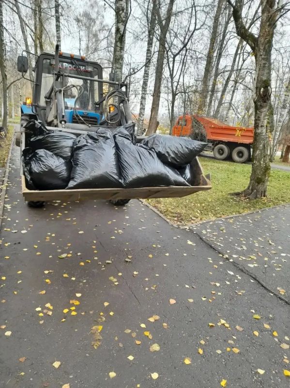 Максим Мартышин: Сегодня в Кировском парке прошёл субботник Максим Мартышин: Сегодня в Кировском парке прошёл субботник