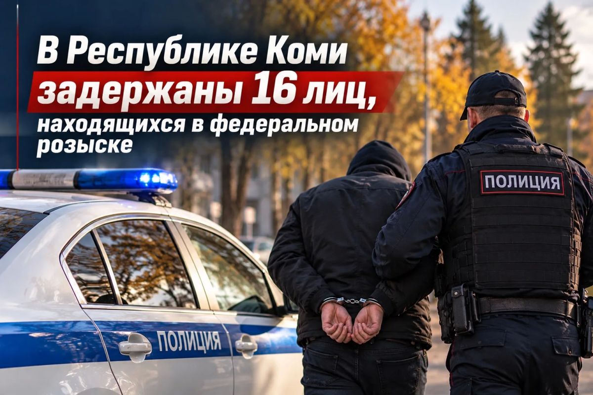 В Республике Коми задержаны 16 лиц, находящихся в федеральном розыске