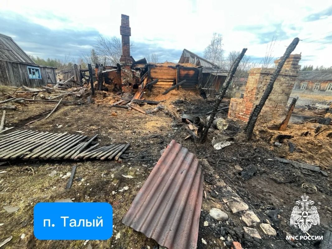 За дежурные сутки огнеборцы Коми ликвидировали 3 возгорания